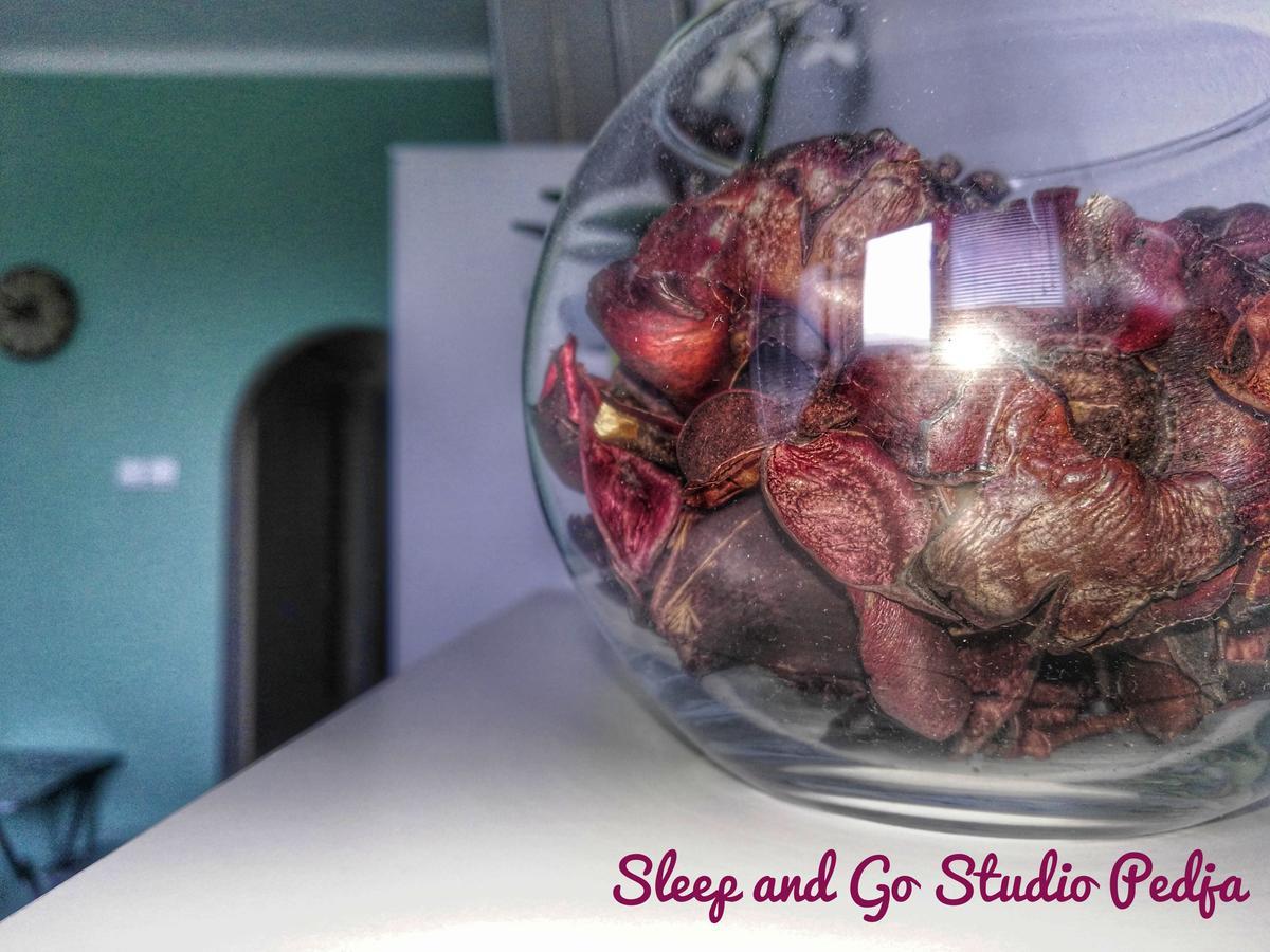 ベオグラードSleep And Go Pedjaアパートメント エクステリア 写真
